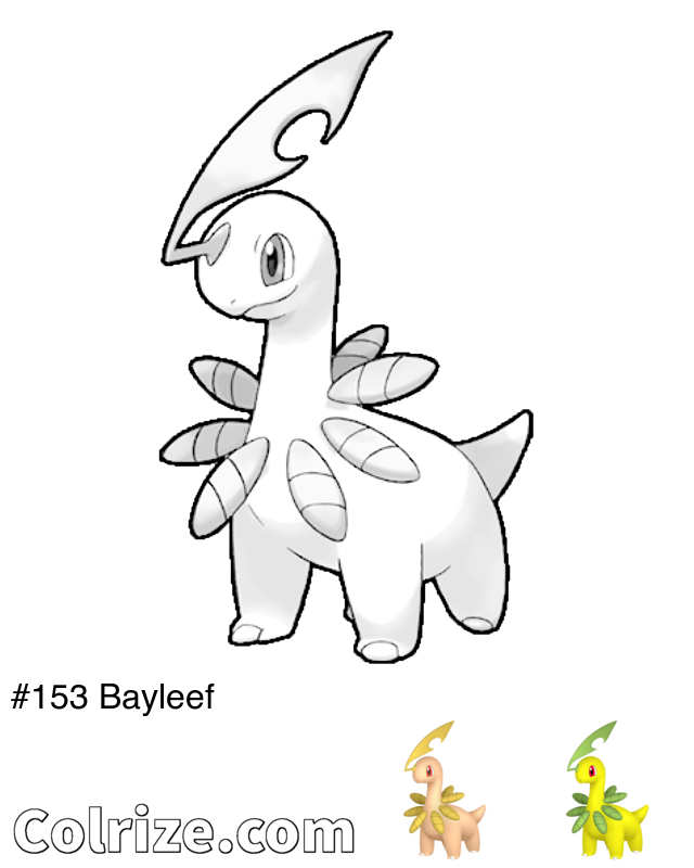 Pokemon Bayleef coloring page + Shiny Bayleef coloring page