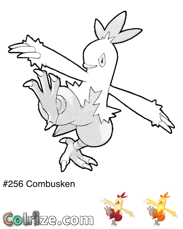 Pokemon Combusken coloring page + Shiny Combusken coloring page