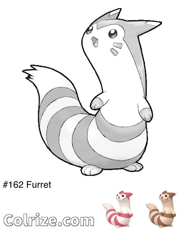 Pokemon Furret coloring page + Shiny Furret coloring page
