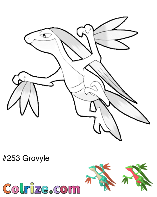Pokemon Grovyle coloring page + Shiny Grovyle coloring page