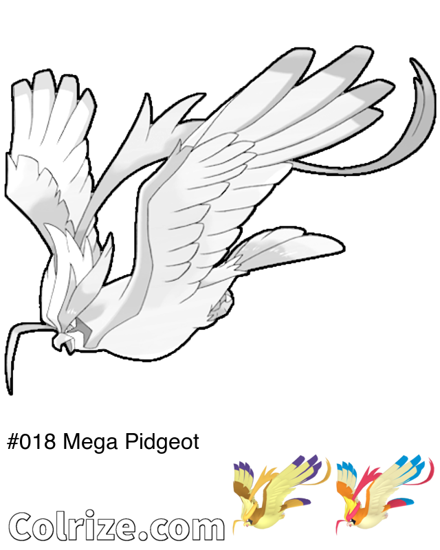 Pokemon Mega Pidgeot coloring page + Shiny Mega Pidgeot coloring page