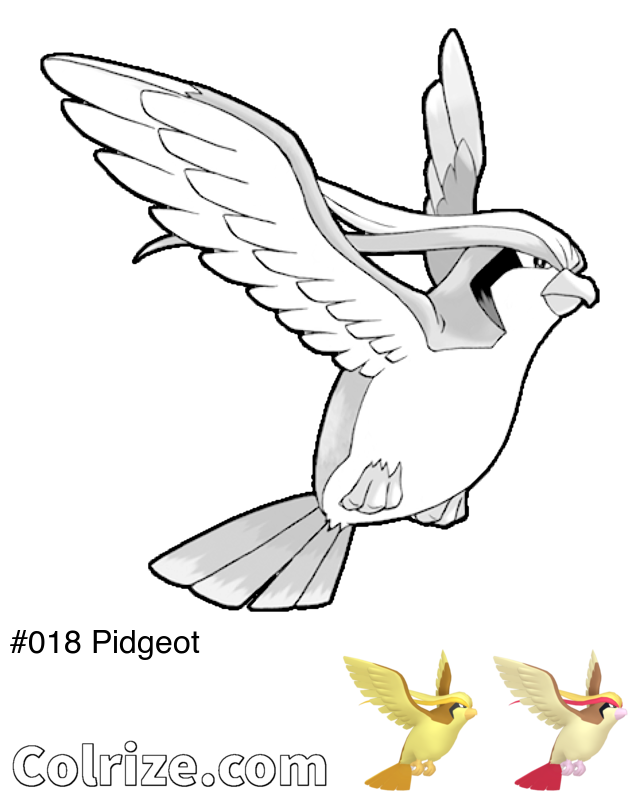 Pokemon Pidgeot coloring page + Shiny Pidgeot coloring page