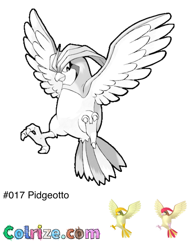 Pokemon Pidgeotto coloring page + Shiny Pidgeotto coloring page