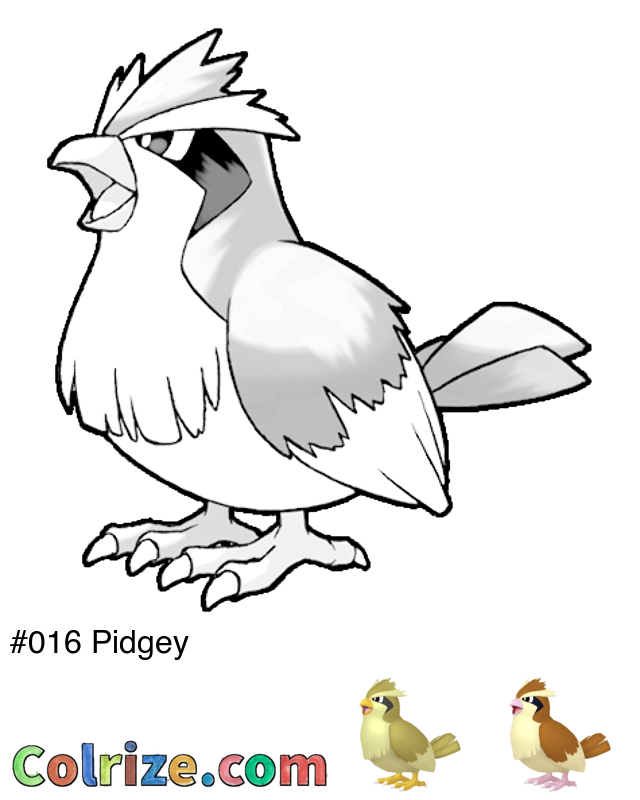 Pokemon Pidgey coloring page + Shiny Pidgey coloring page