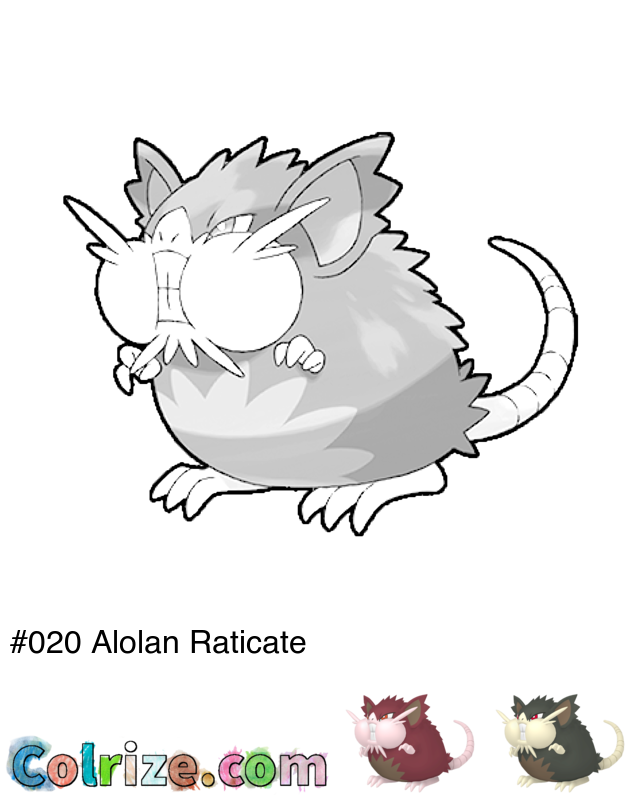 Pokemon Alolan Raticate coloring page + Shiny Alolan Raticate coloring page