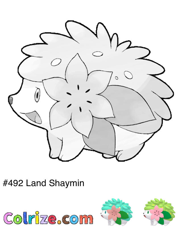 Pokemon Land Shaymin coloring page + Shiny Land Shaymin coloring page