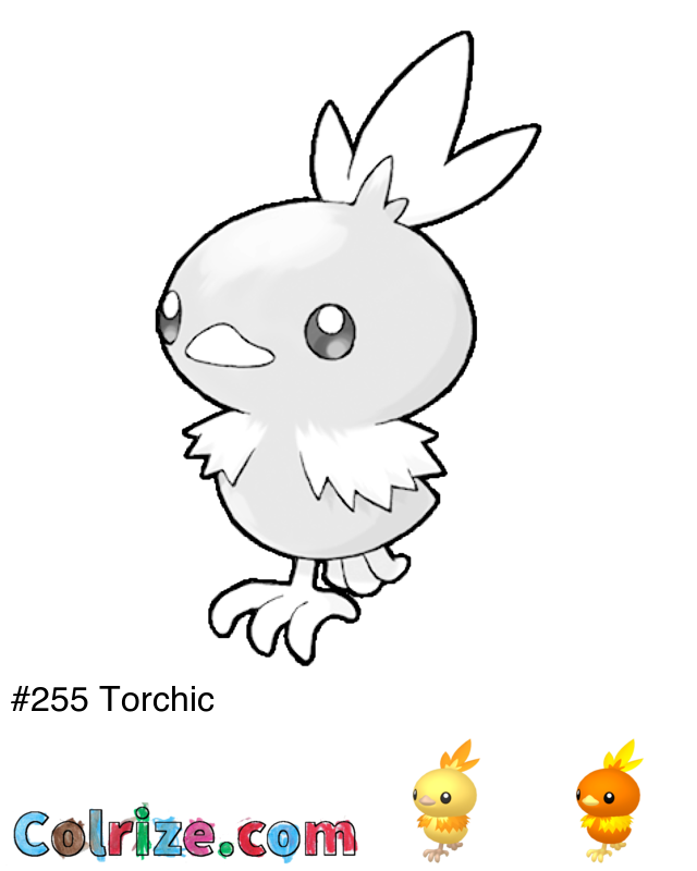 Pokemon Torchic coloring page + Shiny Torchic coloring page